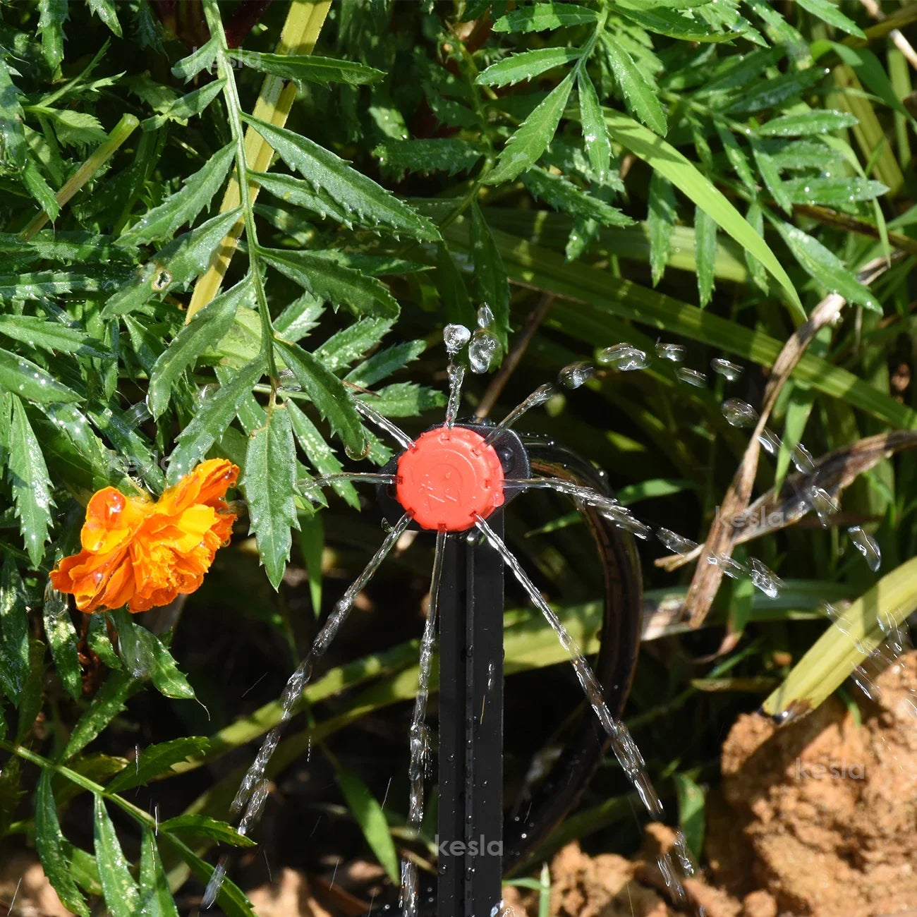 Easy Garden Water Kit